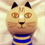 ミンミの画像