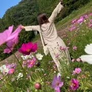MROの画像