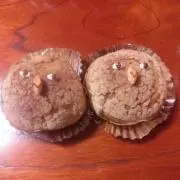 こたろー