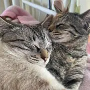 りゅり