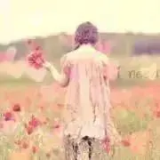 しのあの画像