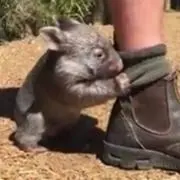 みん