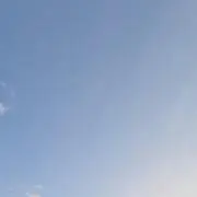 mii