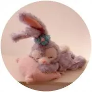 ふの画像
