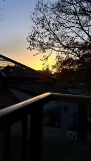 ねおの画像