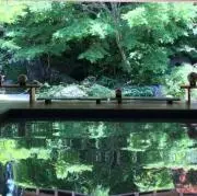 みずたまの画像