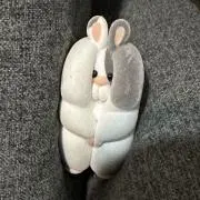 Musumeの画像