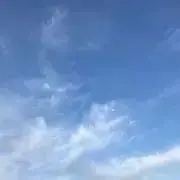 HANAの画像
