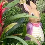 のーんの画像