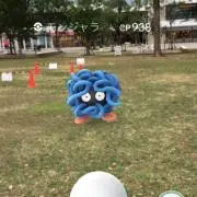 Taznianの画像