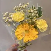 achanmamaの画像