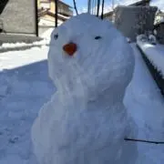 なみの画像