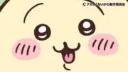 にくまんの画像