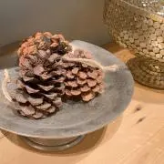 くるとん⭐️プロフ必読お願いしますの画像