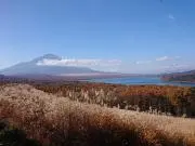 かわせみ