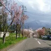 mioの画像