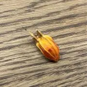 ルルの画像