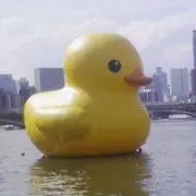 なるみの画像