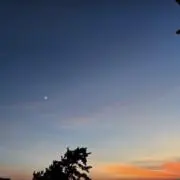ダイキの画像