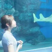 かすにゃの画像