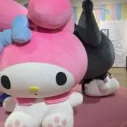 Cの画像