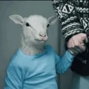 ラムの画像