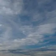 マサの画像