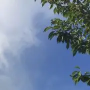海と山の画像