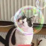 ルンルンショップの画像