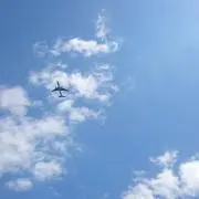 ゆゆの画像