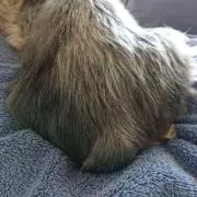にちにち