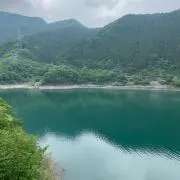 nekosanの画像