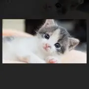 さちの画像