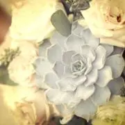 chi___coの画像
