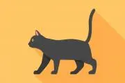 えりお17【プロフ必読】の画像