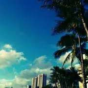 はむはむの画像