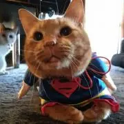 のんき