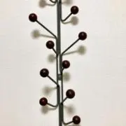 スプラウトの画像