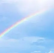 りあねの画像