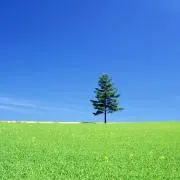 ★nao★の画像