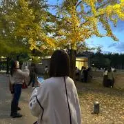 れんちゃんの画像