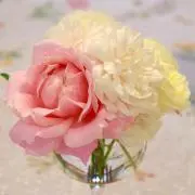 あの画像