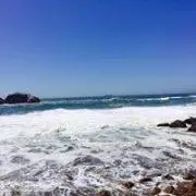 Nobの画像