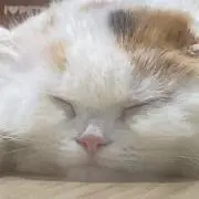 音