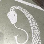 mizuの画像