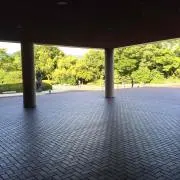 ピーターパン