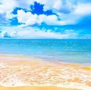 めるストアの画像