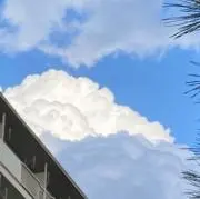 ろーい