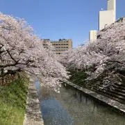 Styの画像