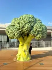 ゆちおの画像